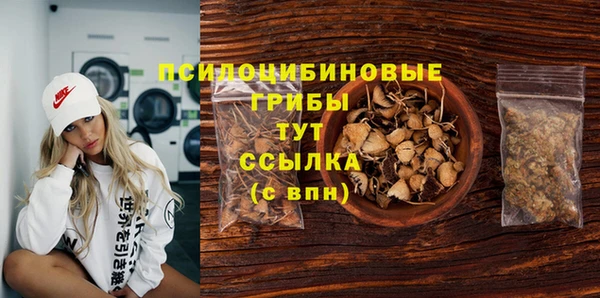 apvp Арсеньев