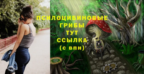 дмт Аркадак